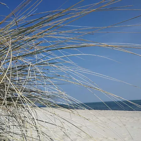 Residenz Am Buchenpark Marlene Apartment *